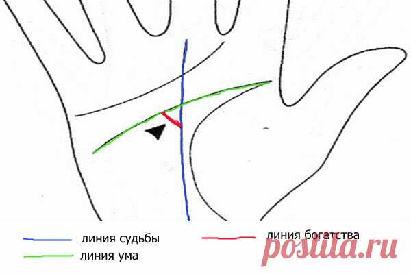 Хиромантия: секреты линии судьбы | Красота внутри вас | Яндекс Дзен
