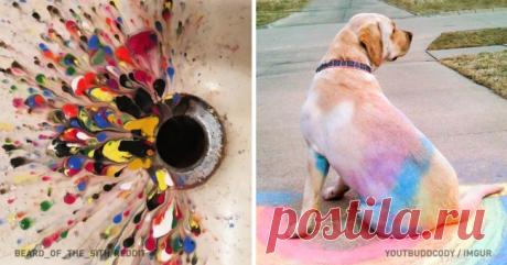 Когда случайность лучше, чем все это ваше искусство