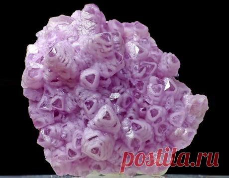 кобальтокальцит