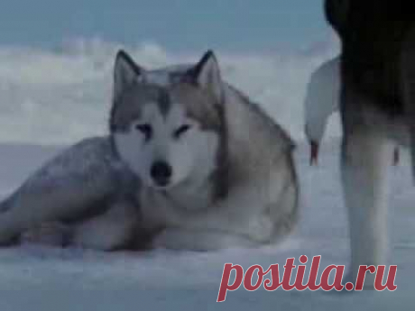 УЧИТЕСЬ ,ЛЮДИ!.... - YouTube