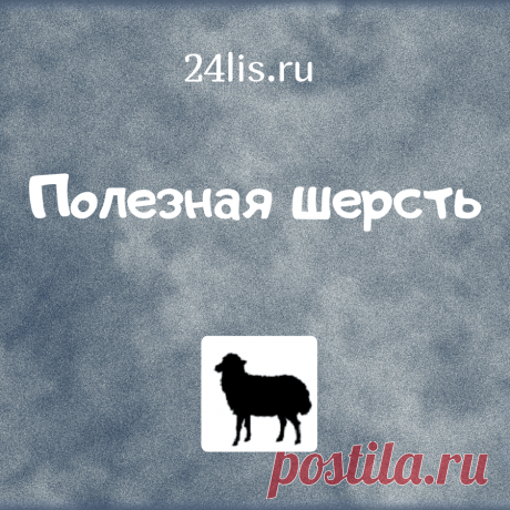 Пояса, наколенники из шерсти мериноса (овчина), вирджинской и верблюжьей шерсти согревающие  для лечебных целей.