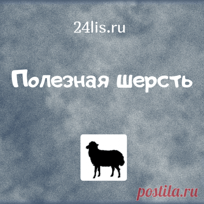 Пояса, наколенники из шерсти мериноса (овчина), вирджинской и верблюжьей шерсти согревающие  для лечебных целей.