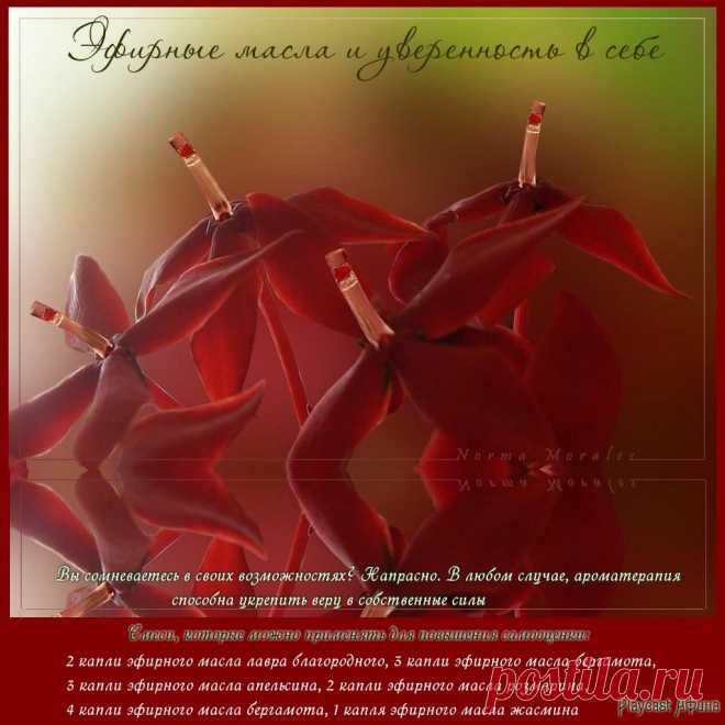 Плейкаст «Эфирные масла и уверенность в себе»