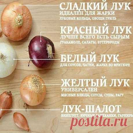 Виды лука для разных блюд