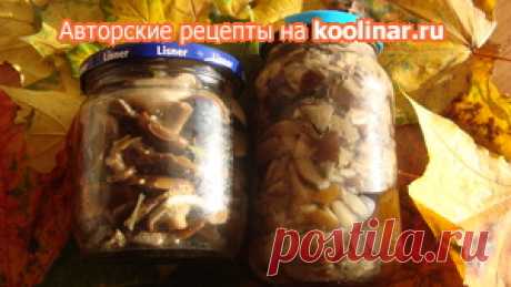 ГОРЬКУШКИ – солёные и маринованные рецепт с фотографиями