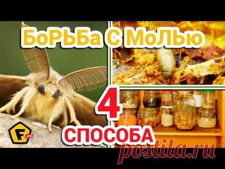Как ИЗБАВИТЬСЯ ОТ ПИЩЕВОЙ МОЛИ в квартире ✔ как бороться с домашней молью ✔ вывести и моль из кухни