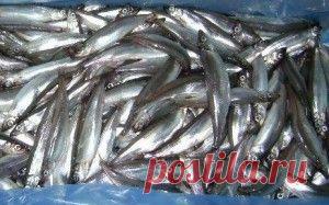 Три дорогих блюда из дешевой мойвы