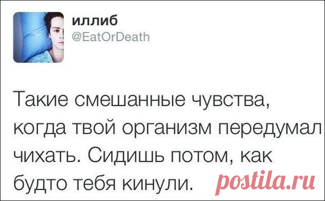 Обхохочешься