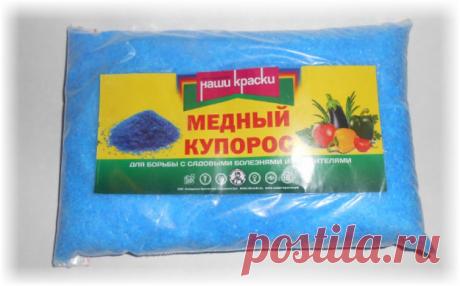 Камедетечение у черешни - как правильно лечить?