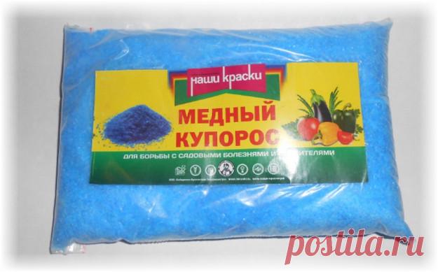 Камедетечение у черешни - как правильно лечить?