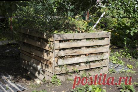 Компост на даче: секреты приготовления полезного удобрения