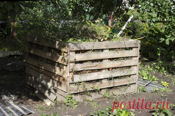 Компост на даче: секреты приготовления полезного удобрения