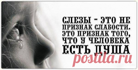слёзы
