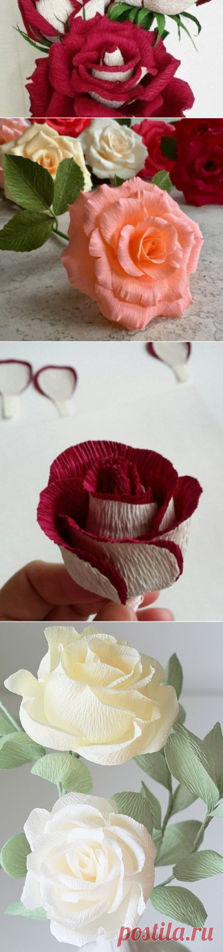 Cómo hacer Rosas de Papel Crepe o Crespón