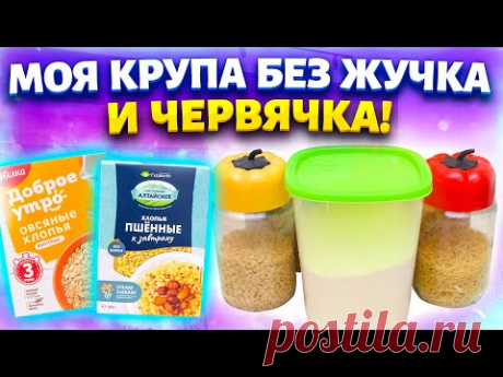 Самая дешёвая крупа будет храниться годами. Делюсь хитростями, которым научил меня работник столовой