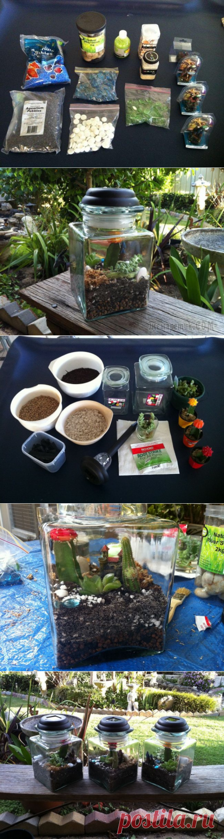 Террариум для суккулентов