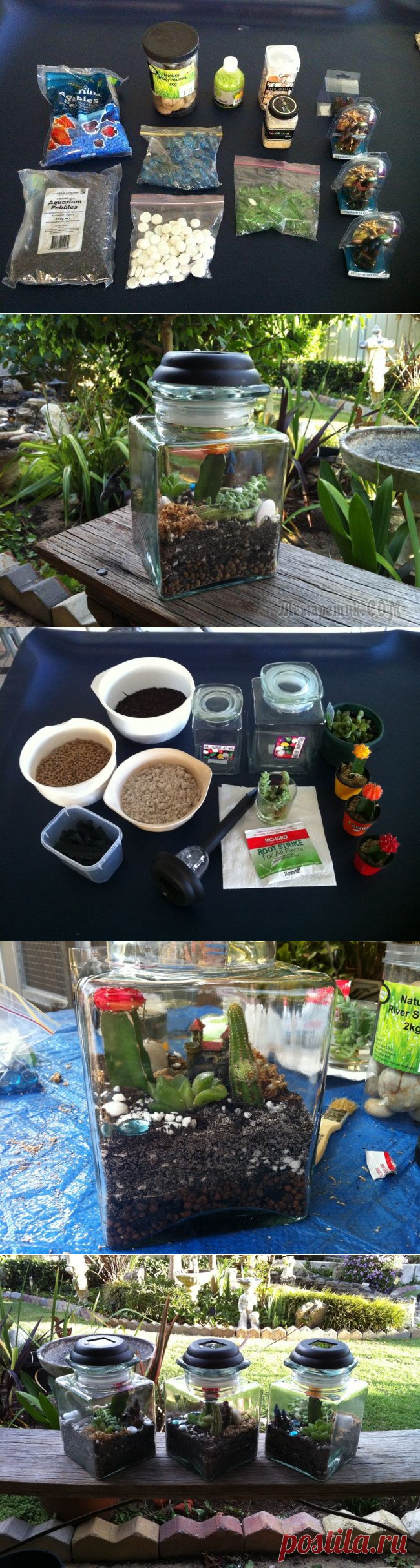 Террариум для суккулентов