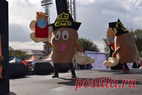 Просто день города Аксу, где КАРТОШКА в казахском костюме танцует с картошкой фри. Меня ничего не смущает. Аксу - город, в Павлодарской области. Казахстан. / Интересное в IT