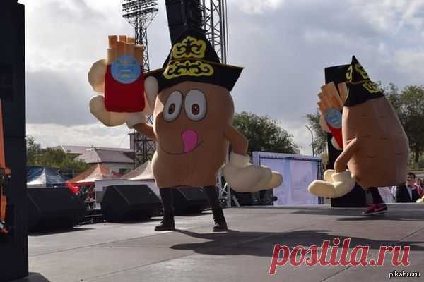 Просто день города Аксу, где КАРТОШКА в казахском костюме танцует с картошкой фри. Меня ничего не смущает. Аксу - город, в Павлодарской области. Казахстан. / Интересное в IT