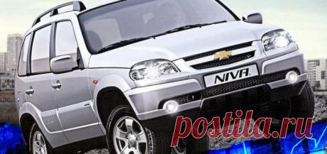 Жадность зашкаливает. | makdiar.ru