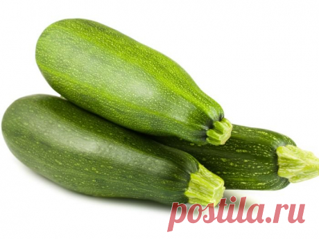 Картинки кабачков (36 фото) ⭐ Забавник