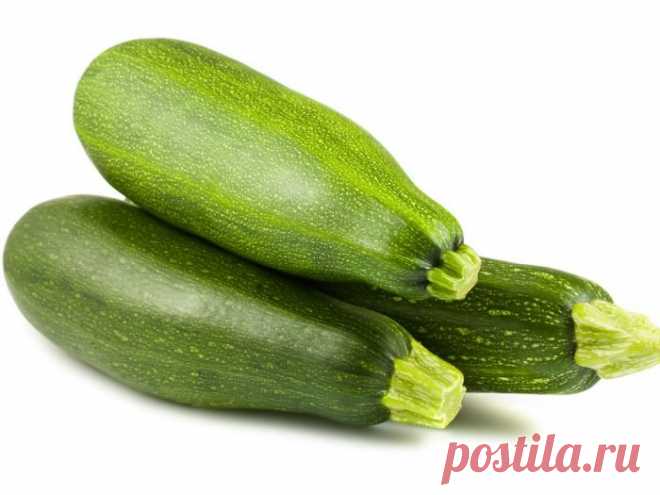Картинки кабачков (36 фото) ⭐ Забавник