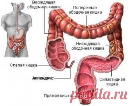 Наше здоровье. Гланды и здоровье в иммунитете