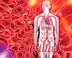 Снижение холестерина в крови народными средствами »