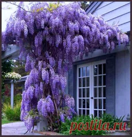 64446022344010112833373.jpg (768×801)