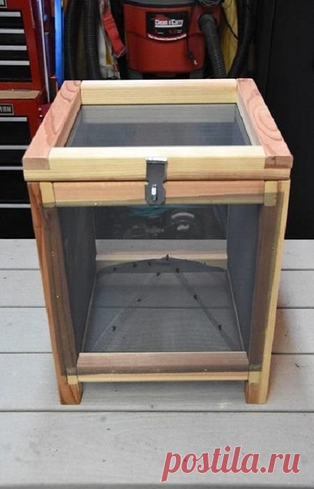 Дачник изготовил нехитрую мухоловку, в которую за неделю попалось больше 2 кг мух