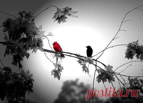 Не Бог наказывает нас,нет!
Наказываем себя мы сами-тем,что живём без Бога.И какие бы хорошие не были мы по человеческим меркам,там,где нет Бога,нет жизни живой.