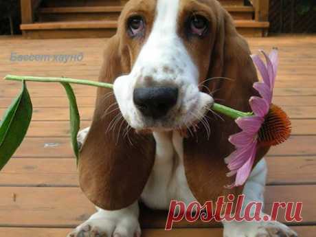 (3) Facebook