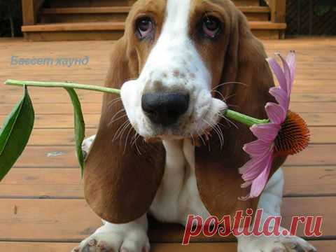 (3) Facebook