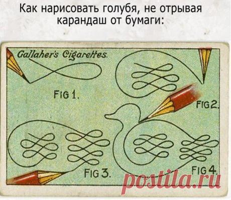 BRAIN: Головоломки здесь | ВКонтакте