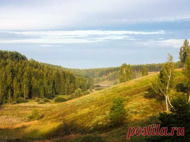 Природный заповедник «Брянский лес» на фото и карте