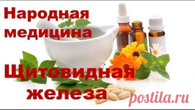 СМЕШАЙТЕ ПО ОДНОМУ СТАКАНУ ГРЕЧНЕВОЙ КРУПЫ, ГРЕЦКИХ ОРЕХОВ И МЕДА, и с вами случится нечто ОСОБЕННОЕ! СМЕШАЙТЕ ПО ОДНОМУ СТАКАНУ ГРЕЧНЕВОЙ КРУПЫ, ГРЕЦКИХ ОРЕХОВ И МЕДА, и с вами случится нечто ОСОБЕННОЕ!

Как привести в порядок щитовидку?