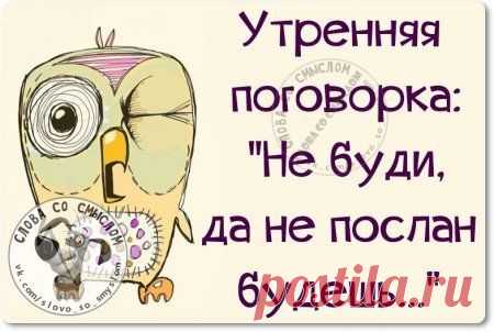 Веселые шутки и истории для поднятия настроения