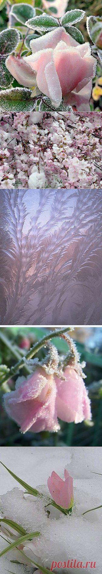 Одноклассники