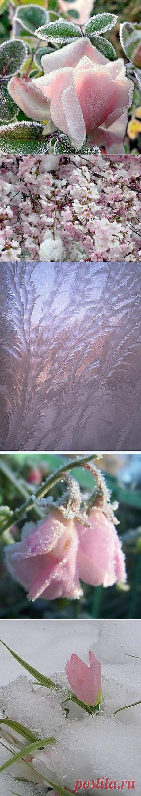 Одноклассники