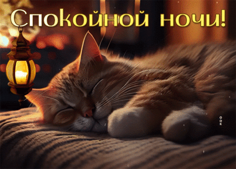 Уютная гиф-открытка со спящим котиком, спокойной ночи