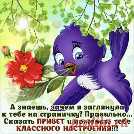 (2) Facebook