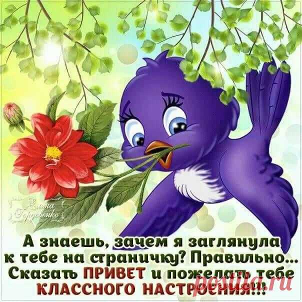 (2) Facebook