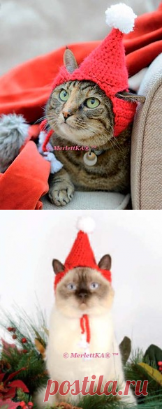 Шапка Санты для кота ♛ вязание для животных