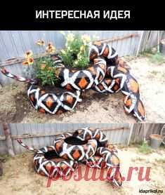 змея