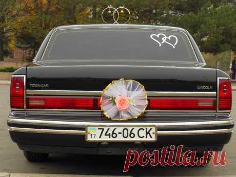 Вот это зад !