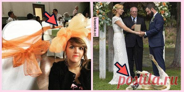 Ах эта свадьба: 10 снимков с торжества, которые точно запомнятся и станут семейной легендой
Самое яркое и долгожданное событие в жизни многих людей – это свадьба. К ее организации подходят особенно тщательно, стараясь продумать каждую мелочь. Но всего предусмотреть нельзя, все равно что-то да выйдет не по плану. «Фотошоп не совсем удачный» Главное в свадебном торжестве – это фотограф. Даже платье и костюм жениха с невестой не играет такой […]
Читай пост далее на сайте. Жми ⏫ссылку выше