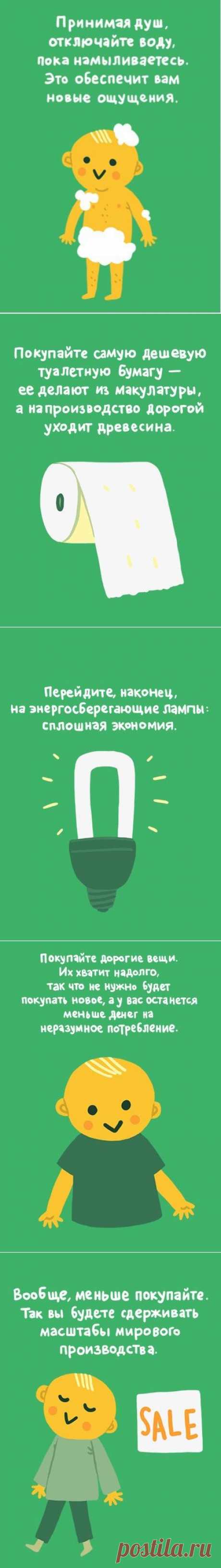 Как помочь природе, ничего не делая - эко-советы для ленивых | Интересный интернет