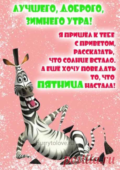 Картинки с добрым зимним утром пятницы: красивые и прикольные открытки с надписями