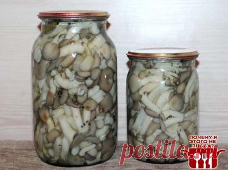 Маринованные вешенки.