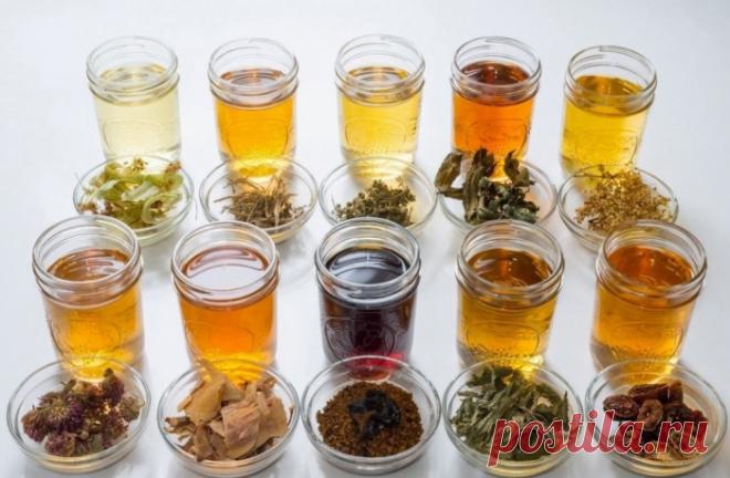 ТРАВЯНЫЕ, ЦВЕТОЧНЫЕ И ЯГОДНЫЕ ЧАИ - КОГДА ИХ ПИТЬ И ЧЕМ ОНИ ПОЛЕЗНЫ
